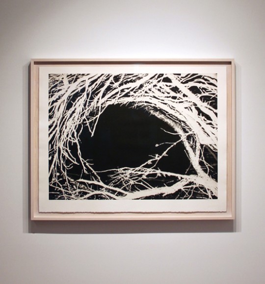 A Hollow - installation/framed view, 2013 by Andrew Browne
