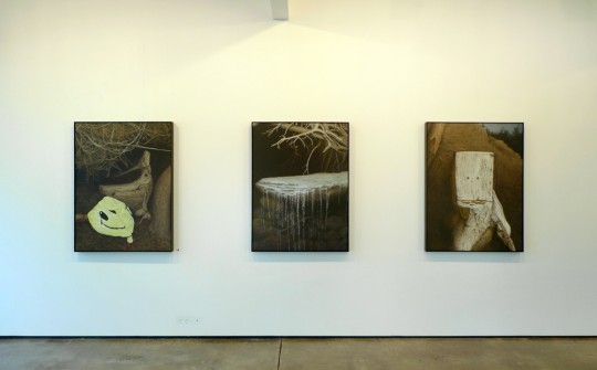 Installation view, 2011 by Andrew Browne