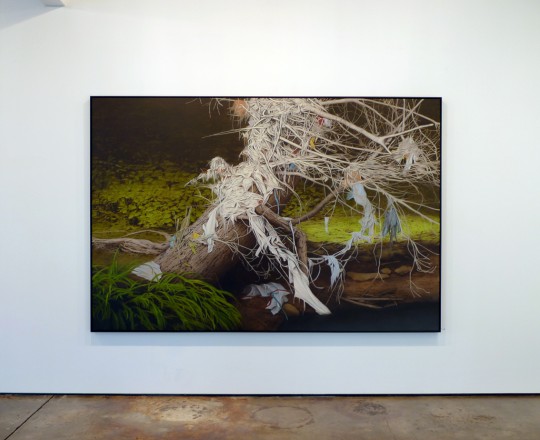 'Down by the river', 2011 by Andrew Browne