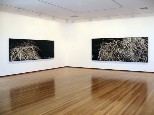 Night Pictures: Kaliman Gallery view 2, 2006 by Andrew Browne
