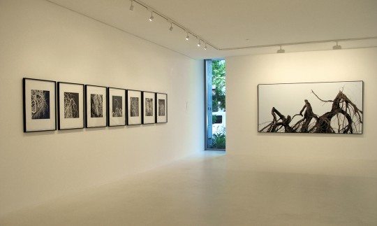 Paintings and Photogravures - view 1, 2008 by Andrew Browne