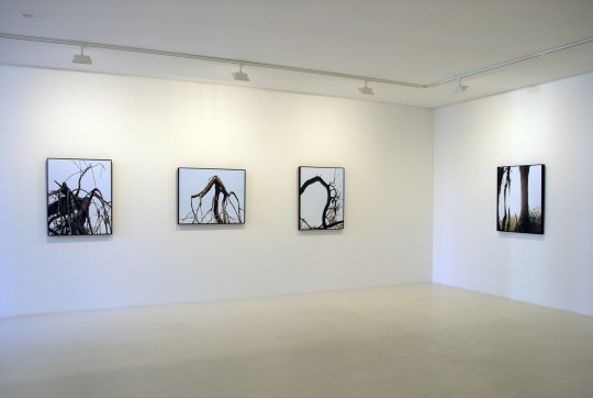 Paintings and Photogravures - view 3, 2008 by Andrew Browne