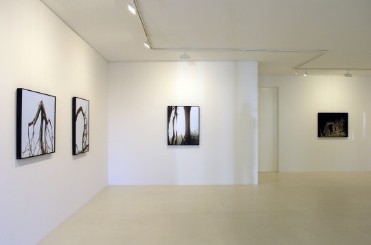 Paintings and Photogravures - view 4, 2008 by Andrew Browne