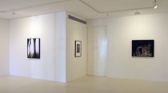 Paintings and Photogravures - view 5, 2008 by Andrew Browne