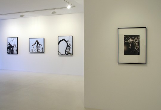 Paintings and Photogravures - view 6, 2008 by Andrew Browne