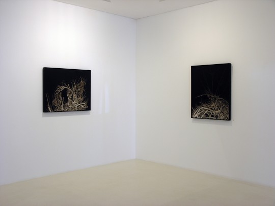 Paintings and Photogravures - view 7, 2008 by Andrew Browne