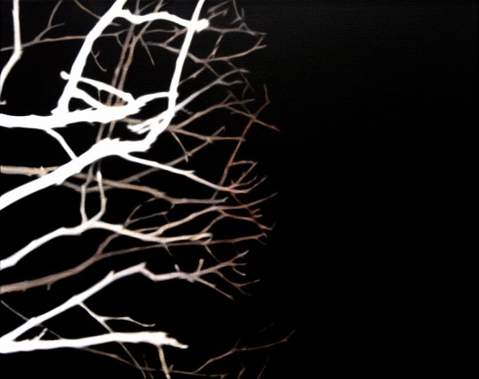 Branches and Void, 2004 by Andrew Browne