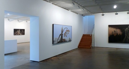 View 7, 2011 by Andrew Browne