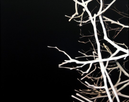 Void and Branches, 2004 by Andrew Browne