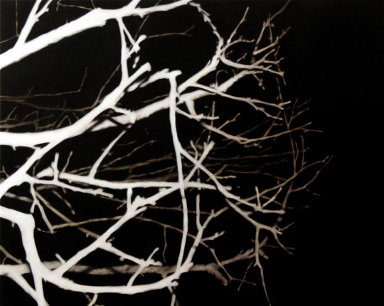 Illuminated Branches 2005, 2005 by Andrew Browne