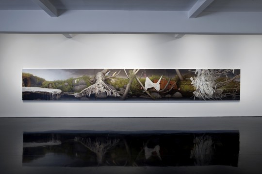 View of 'A Riverbank (culvert, detritus and apparitions), 2012 by Andrew Browne