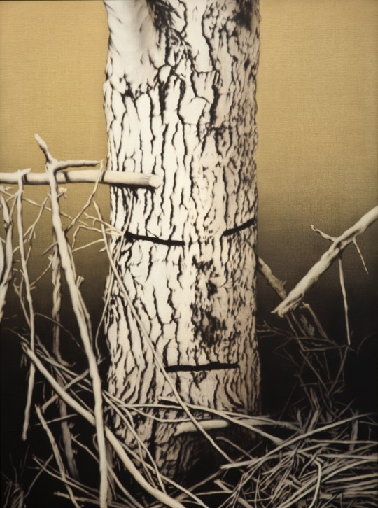 Visitation #7 (birch-face), 2009 by Andrew Browne