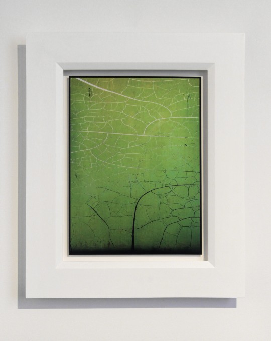 A kind of skin - Vignette #4, 2025 by Andrew Browne