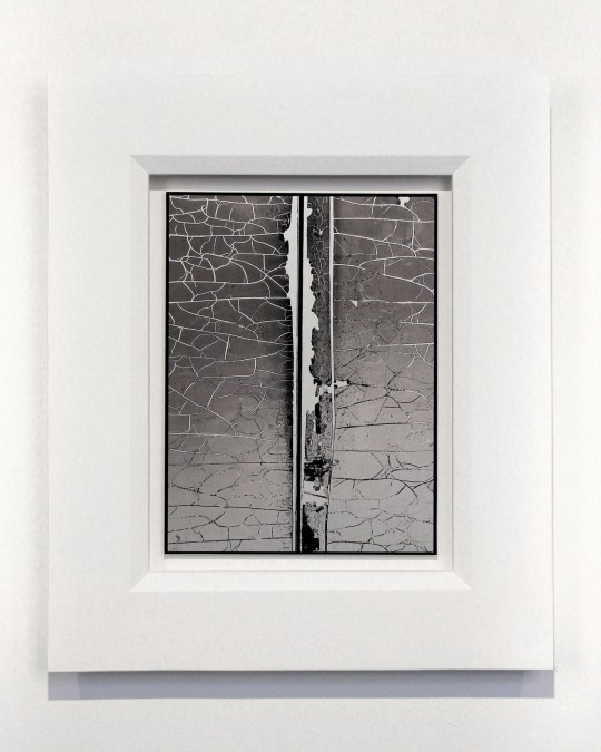 A kind of skin - Vignette #8, 2025 by Andrew Browne