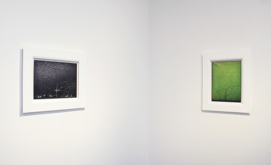 A kind of skin install 5, 2025 by Andrew Browne