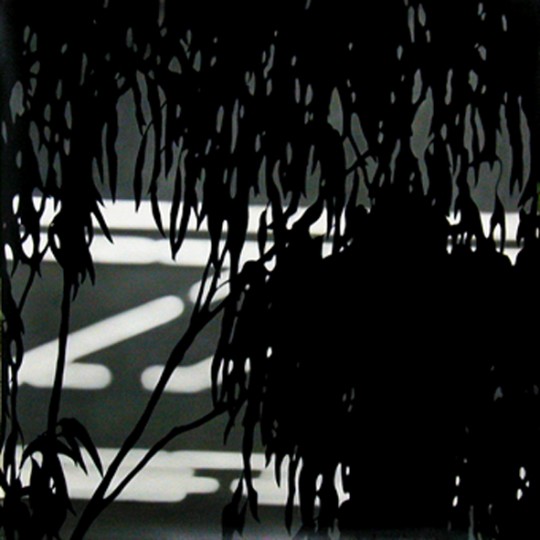 Fringe of leaves and lighting, 2002 by Andrew Browne