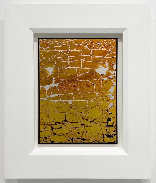 fulgēre #5, 2026 by Andrew Browne