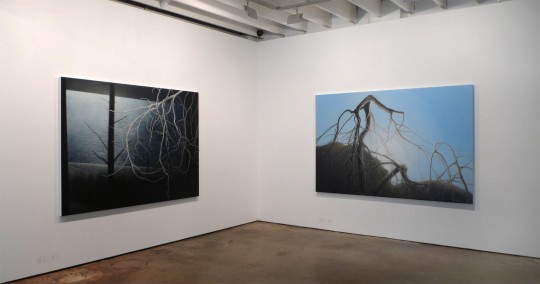 Installation view, 2015 by Andrew Browne