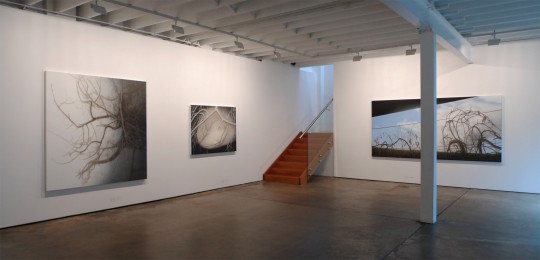 Installation view, 2015 by Andrew Browne