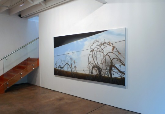 Installation view, 2015 by Andrew Browne