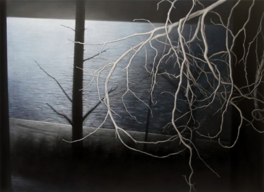 River (glimpse), 2015 by Andrew Browne