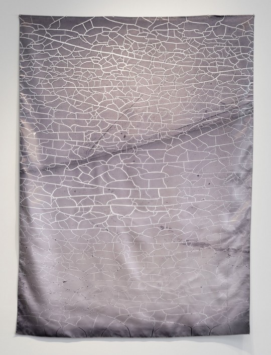 Silver Field, 2026 by Andrew Browne