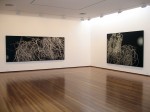 Night Pictures: Kaliman Gallery view 1, 2006 by Andrew Browne