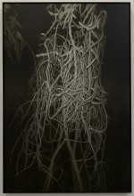 An Apparition, 2025 by Andrew Browne