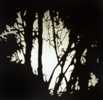 Light through foliage, 2001 by Andrew Browne