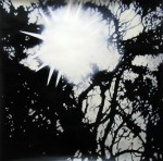 Flare and foliage, 2002 by Andrew Browne