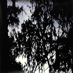 Foliage and illumination, 2002 by Andrew Browne