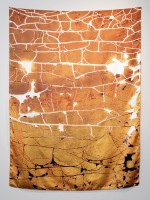 Gold!, 2026 by Andrew Browne