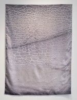 Silver Field, 2026 by Andrew Browne