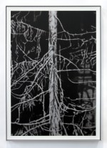 Times Tide #4 (sliver tree), 2023 by Andrew Browne