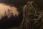 Yarra Bend (dusk), 2011 by Andrew Browne