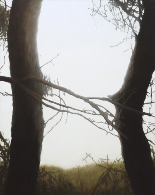 Two trees, 2009 by Andrew Browne
